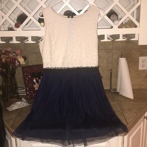 Beautiful Navy and Cream Stretchy Dress